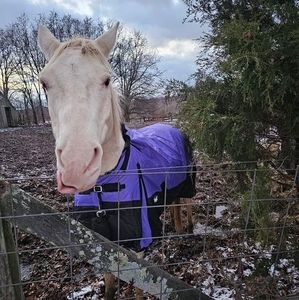 Meet your Posher, Robin
